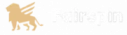 fairspin logo